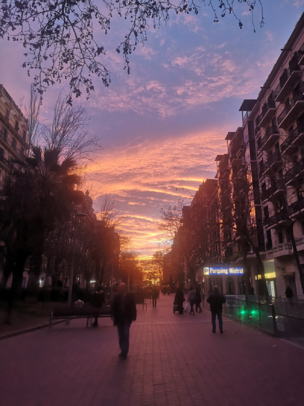 Gente en la calle / Gent al carrer