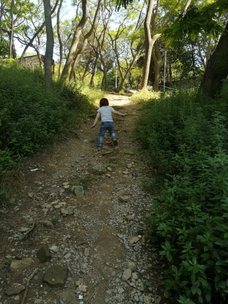 Criatura subiendo una cuesta en la montaña / Criatura pujant un camí en pendent a una muntanya